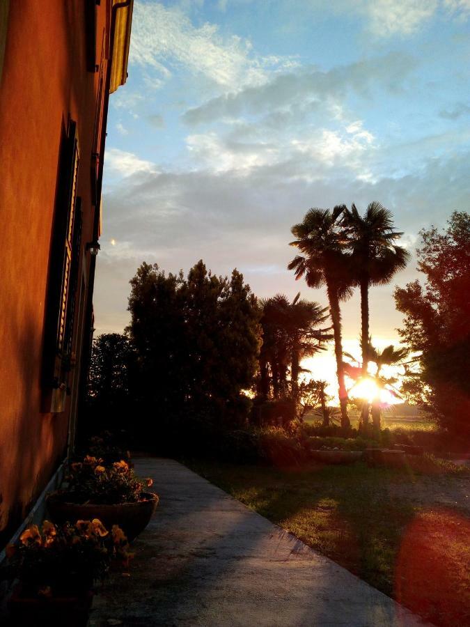 B&B Da Miriam Castelnuovo del Garda Exteriér fotografie