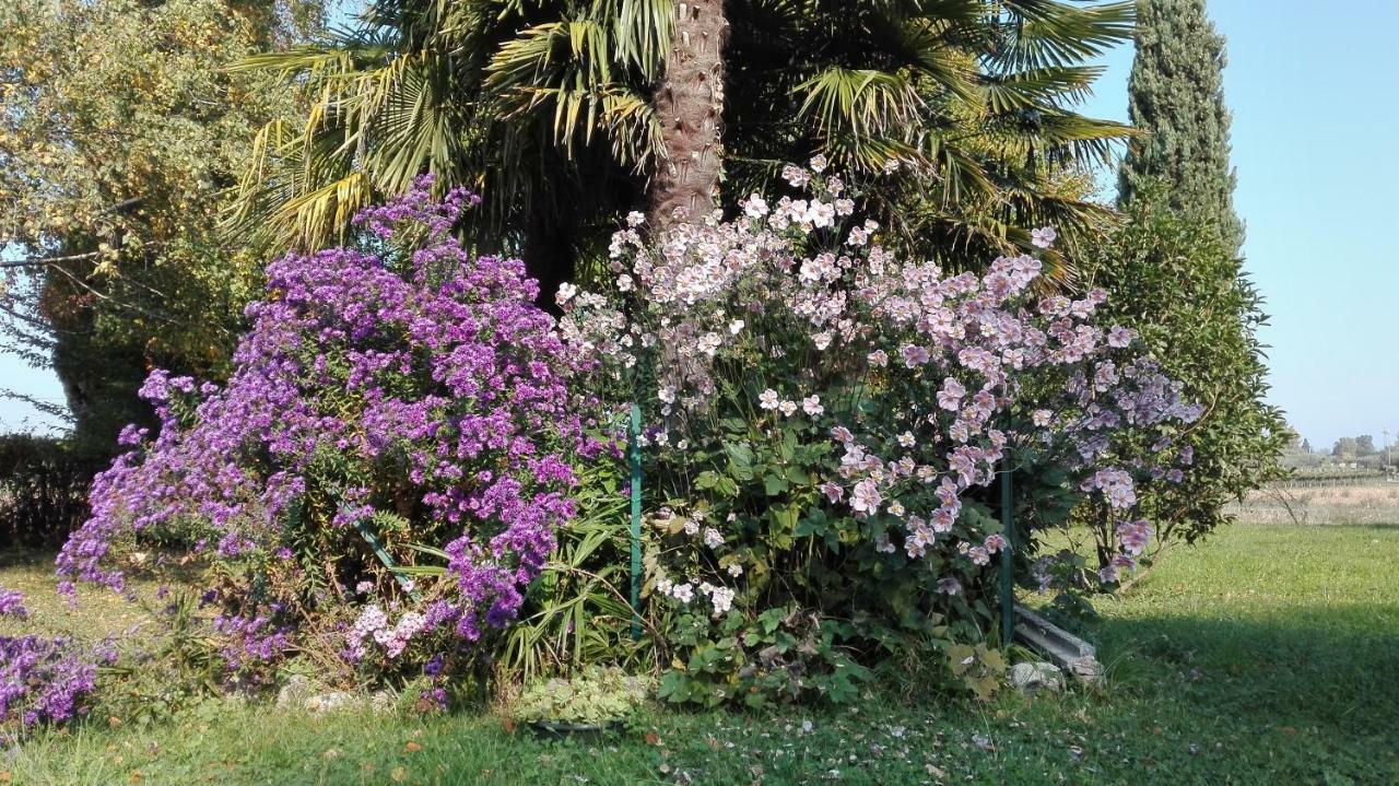 B&B Da Miriam Castelnuovo del Garda Exteriér fotografie